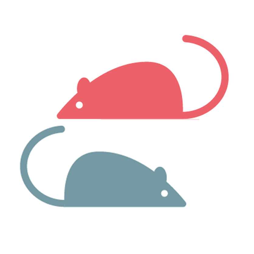 Icona vettoriale che rappresenta due topolini per indicare i prodotti di inVerde dedicati ai roditori come topi, ratti, talpe