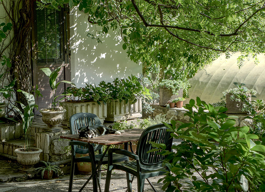 Una veranda in giardino con un tavolo e delle sedie, un gatto che dorme al sole e molte piante a fare ombra.