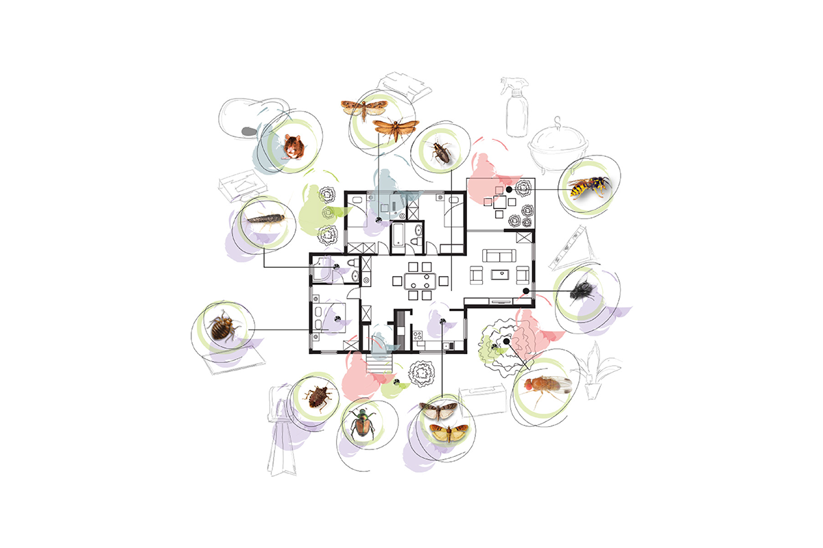 una rappresentazione grafica della pianta di una casa con segnalati i possibili insetti infestanti, relativa alla partecipazione di inVerde alla Fiera My Plant & Garden 2025 a Milano