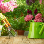 Immagine di un giardino fiorito casalingo con annaffiatoio