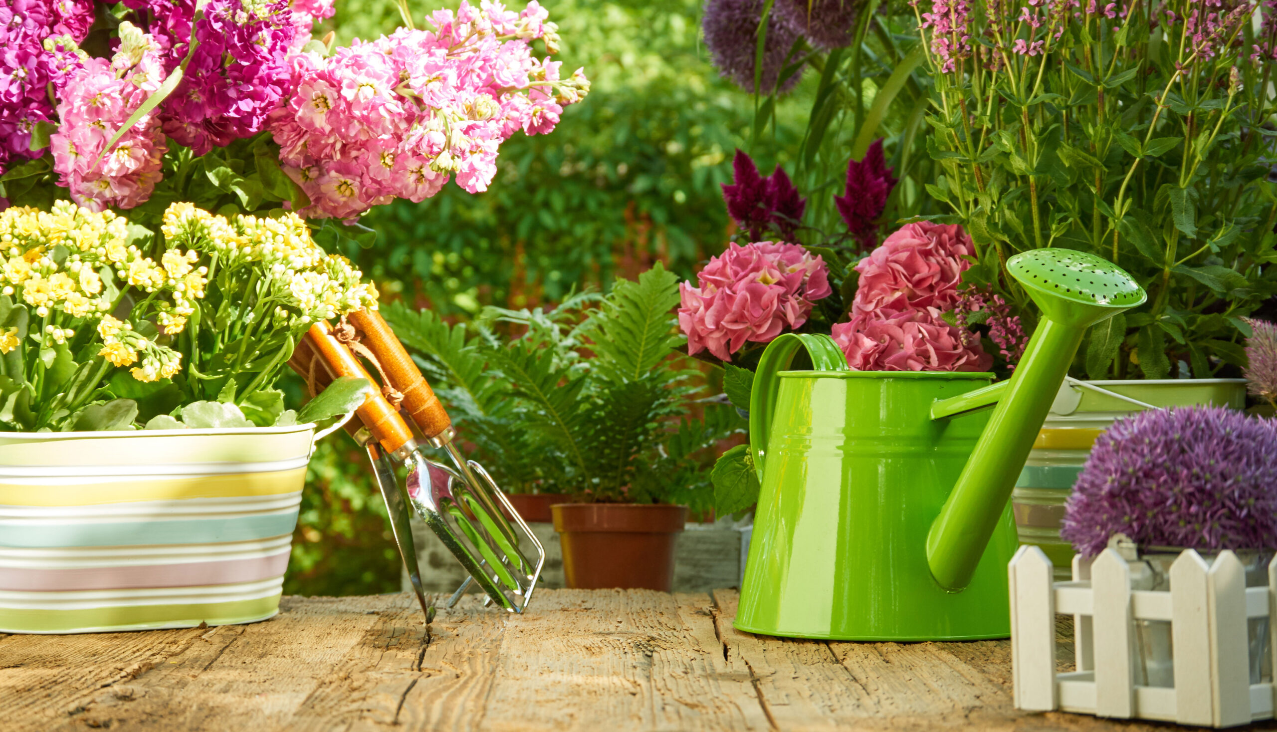 Immagine di un giardino fiorito casalingo con annaffiatoio